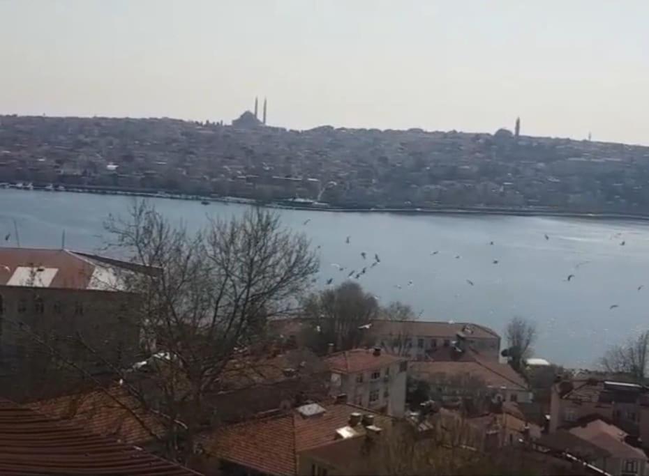 Deniz Manzarasi, Marti Sesleri Esliginde Istanbul公寓 外观 照片